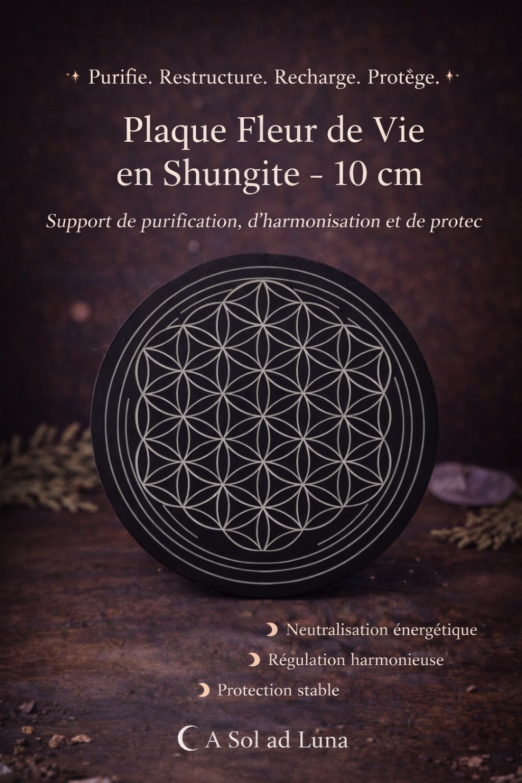 Fleur de vie en Shungite - 10cm