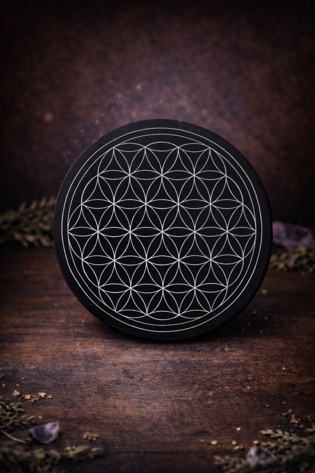 Fleur de vie en Shungite - 10cm